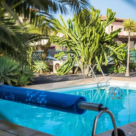 Velas * コラレホ